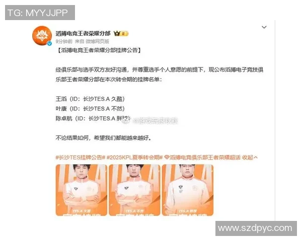 王者荣耀巨献:深入分析TES战队当前状态与未来展望 王者荣耀巨献:深入分析TES战队当前状态与未来展望