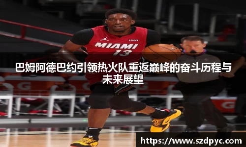 巴姆阿德巴约引领热火队重返巅峰的奋斗历程与未来展望